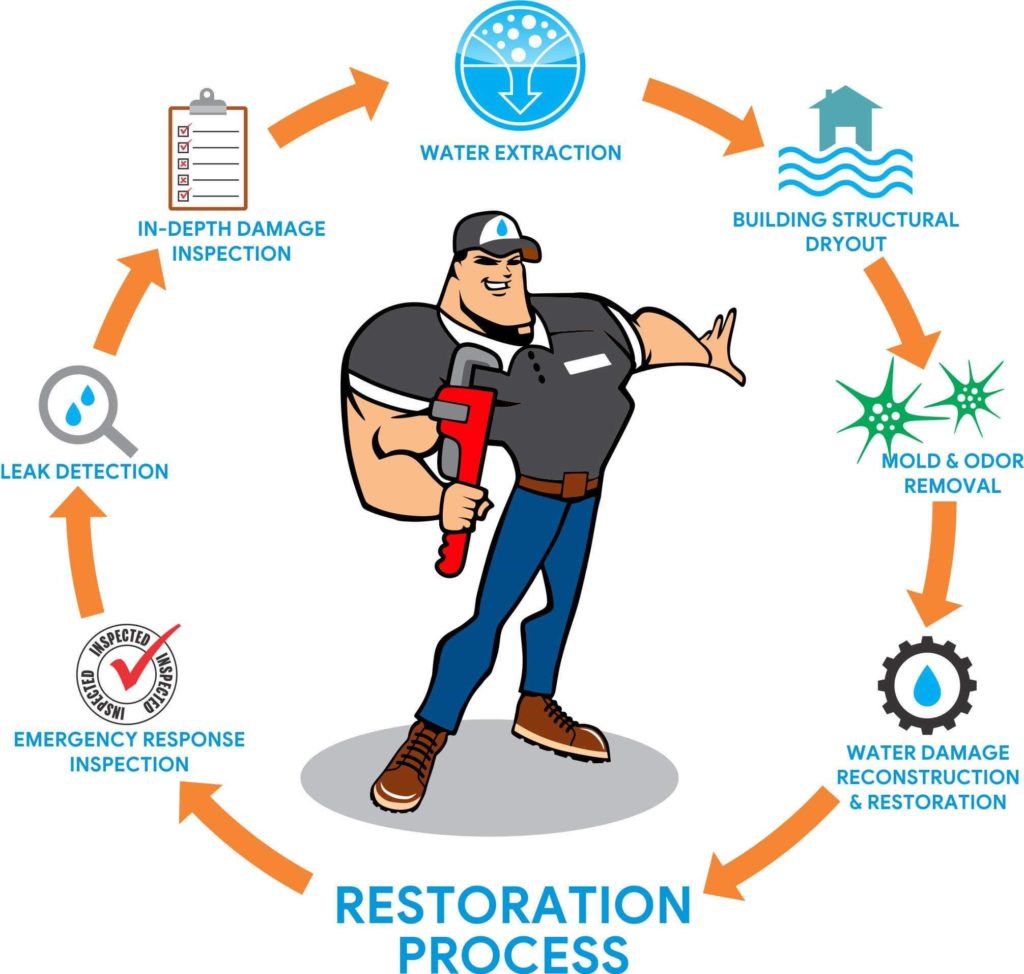 restoration process