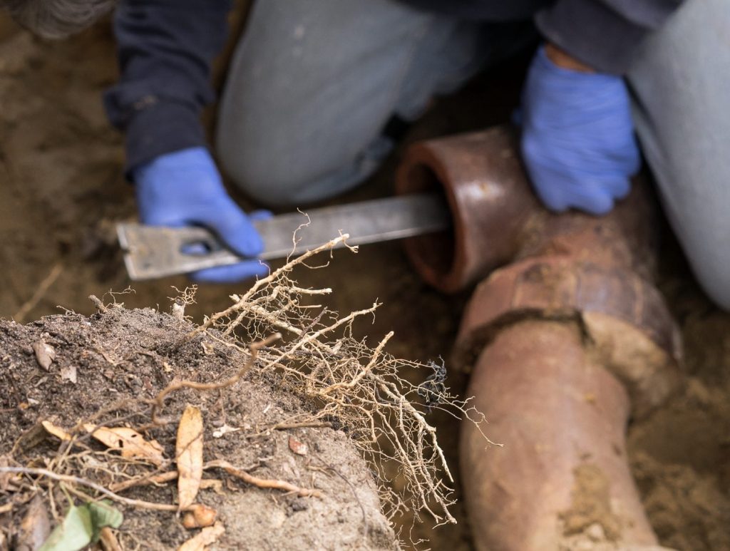 Chula Vista Plumbing Services,