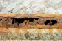 Cast Iron Pipe Riverside County: Replacement vs. Repair Riverside County