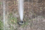 Spot And Stop Irrigation System Leaks Riverside County