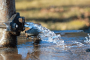 How Does Water Leak Detection Work In Riverside County?