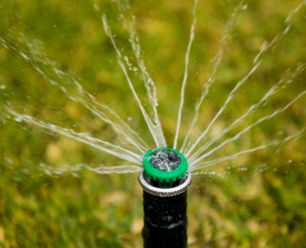 How To Spot And Stop Irrigation System Leaks In Riverside County