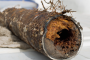 4 Sign That You Have A Problem With Your Main Sewer Line In Riverside County